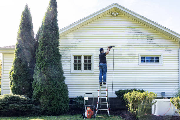 Reliable Gunnison, CO Pressure Washing Services Solutions